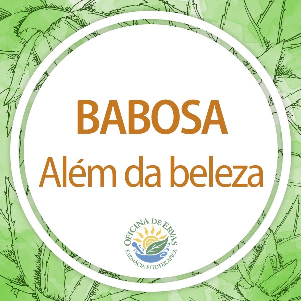 Babosa além da beleza