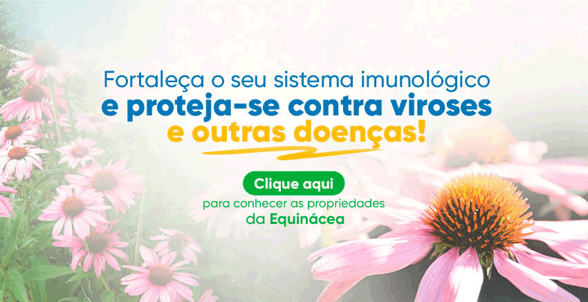 Conhea as propriedades da Equincea. Fortalea o seu sistema imunolgico e proteja-se contra virose e outras doenas. | Farmcia de Manipulao - Oficina de Ervas: Cpsulas, Tinturas, Cosmticos e Essncias.