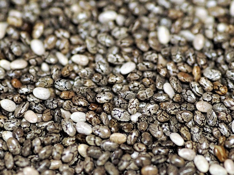 Chia, benefícios desse superalimento para sua saúde.