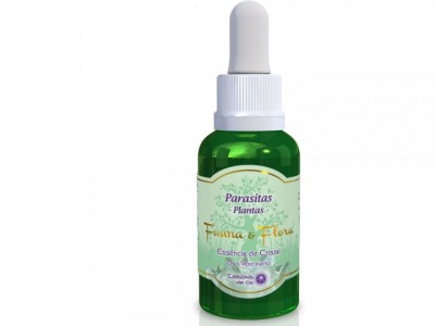 Parasitas (plantas)